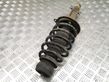 Front shock absorber/damper