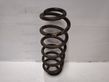 Rear coil spring