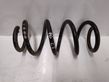 Front coil spring