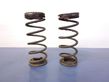 Rear coil spring