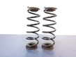 Rear coil spring