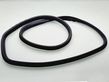 Rear door rubber seal (on body)