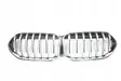 Front bumper upper radiator grill