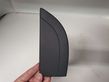 Rear door glass trim molding