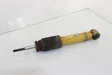 Rear shock absorber/damper