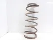 Front coil spring