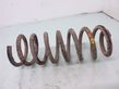 Rear coil spring