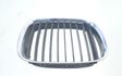 Front bumper upper radiator grill