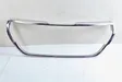 Front bumper upper radiator grill