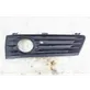 Front fog light trim/grill