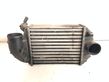 Intercooler radiator