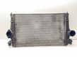 Intercooler radiator