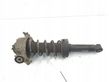 Rear shock absorber/damper