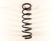 Rear coil spring