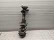 Front shock absorber with coil spring