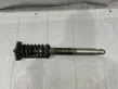 Front shock absorber with coil spring