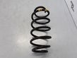 Front coil spring