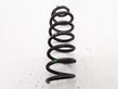 Rear coil spring