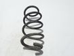 Front coil spring