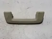 Front interior roof grab handle