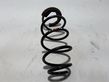 Front coil spring