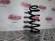 Rear coil spring