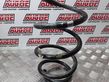 Front coil spring