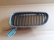 Front bumper upper radiator grill