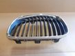 Front bumper upper radiator grill