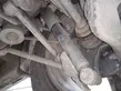 Rear shock absorber with coil spring