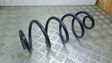 Rear coil spring