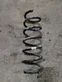 Rear coil spring