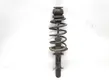 Front shock absorber/damper