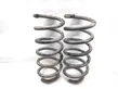 Front coil spring