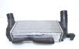 Intercooler radiator