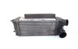 Radiatore intercooler