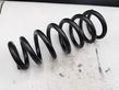 Rear coil spring