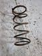 Rear coil spring