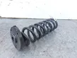 Rear coil spring