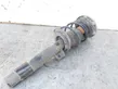 Front shock absorber/damper