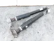 Rear shock absorber with coil spring