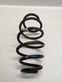 Front coil spring