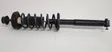 Rear shock absorber with coil spring