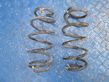 Rear coil spring