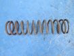 Rear coil spring