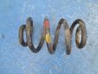 Front coil spring