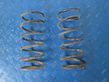 Front coil spring