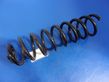 Rear coil spring