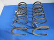 Rear coil spring