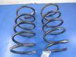 Rear coil spring